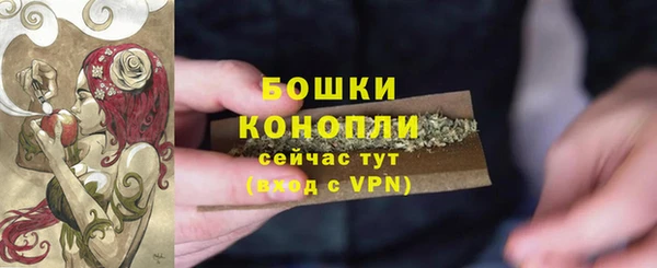 гашик Карпинск