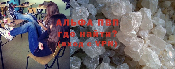 гашик Карпинск