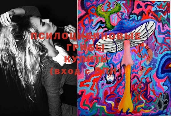 mix Касимов