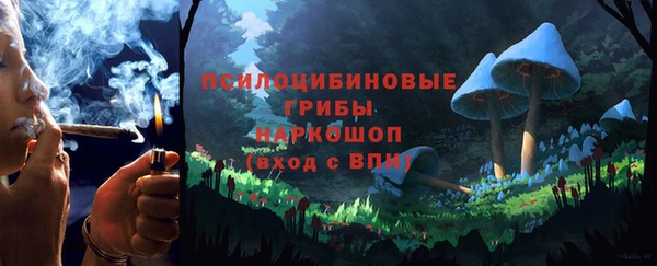 гашик Карпинск