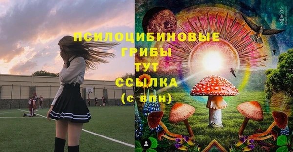гашик Карпинск